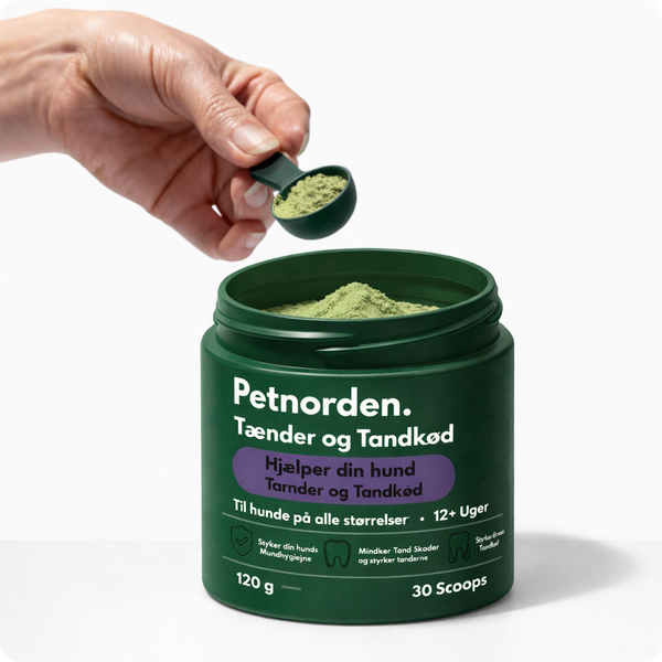 Tand+ produkt