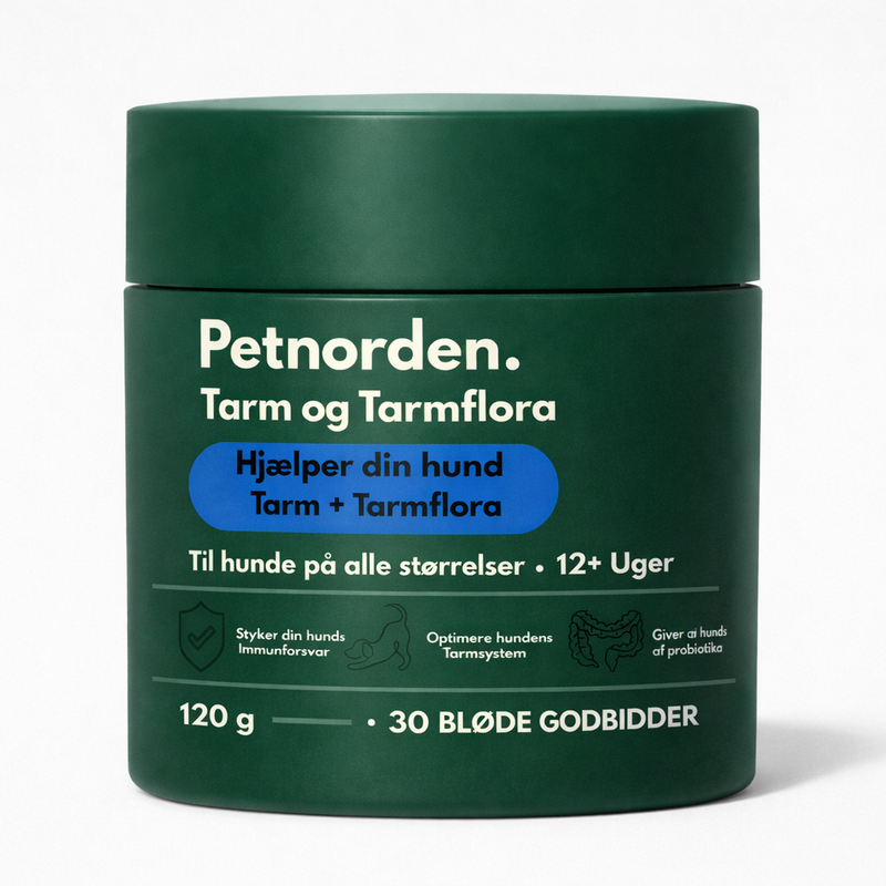 Probiotika til Hunde