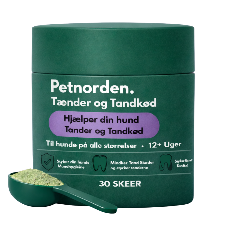 Før og efter: hundetænder med og uden tandsten
